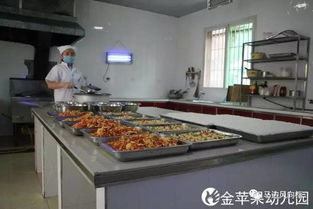 金蘋(píng)果幼兒園報(bào)名通知