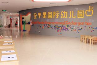 金蘋果幼兒園加盟費用及合作模式解析